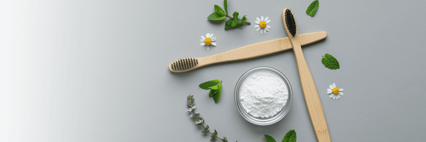 Holistic Dentistry | Dentist
